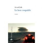 armel job, auteur belge, roman, robert laffont, policier, conte