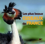 oiseaux de france.jpg