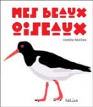 mes beaux oiseaux.jpg